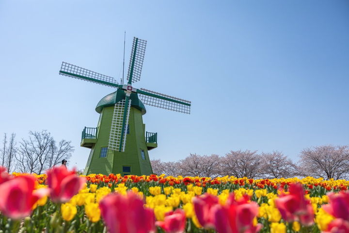 NISI20260408_0002106002_web