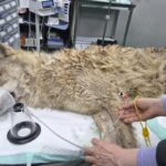 NISI20260417_0002113261_web