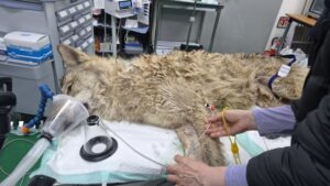 NISI20260417_0002113261_web