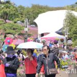 NISI20260418_0002114331_web