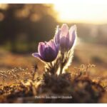 Photo-by-Ales-Maze-on-Unsplash-Website