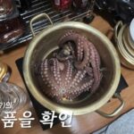 SSC_20260409205228_O2