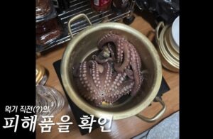 SSC_20260409205228_O2