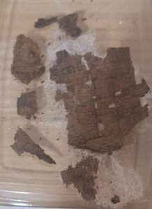 accb3cdcd257297bd0c35402672a4009