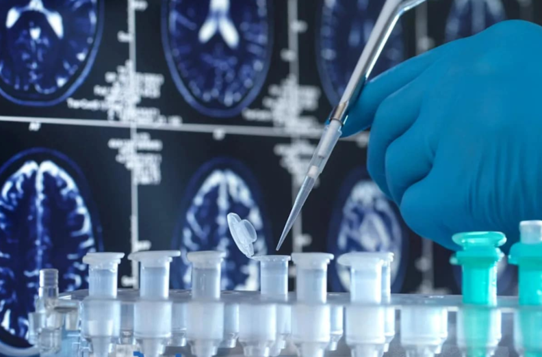 art_17768370554127_de1be8