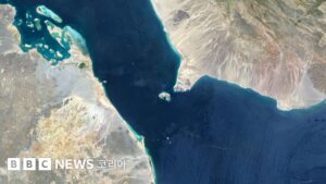 b6b4c110-2c49-11f1-b979-37139b7cb8c6-1