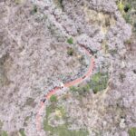 f8893693-e91d-43e7-a946-ca7bbeaeffe0