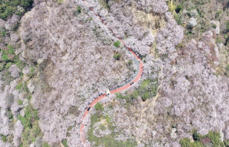 f8893693-e91d-43e7-a946-ca7bbeaeffe0