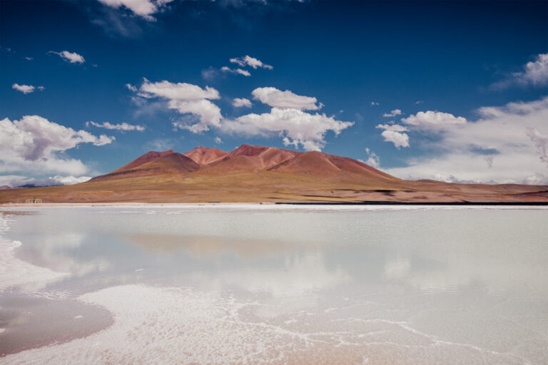 l_2026041001000310700031171