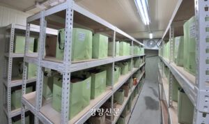 news-p.v1.20260405.88e2efd5bced4d108fd63209703721ca_P1