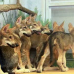 news-p.v1.20260408.d241422bb0fe4613aeb8c2c4723bfb07_P1