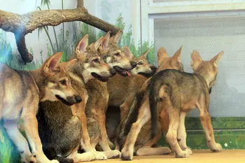 news-p.v1.20260408.d241422bb0fe4613aeb8c2c4723bfb07_P1