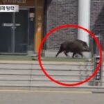 news-p.v1.20260420.52af66e0f36c47438af7404751f036d6_T1