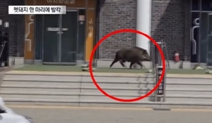 news-p.v1.20260420.52af66e0f36c47438af7404751f036d6_T1