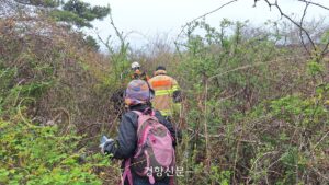 news-p.v1.20260420.68161d03eef544f69cd9480460e3d09a_P1