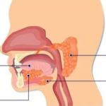 news-p.v1.20260427.d8acff65f81a4f228cc6f78f772fd886