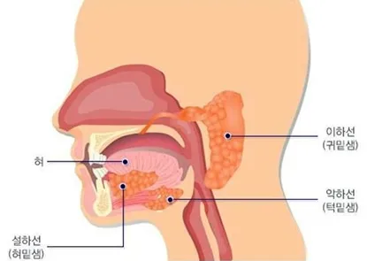 news-p.v1.20260427.d8acff65f81a4f228cc6f78f772fd886