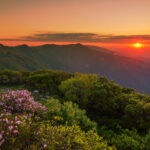 ca510e251c0e5e2ba7ee8b3eac384d1d