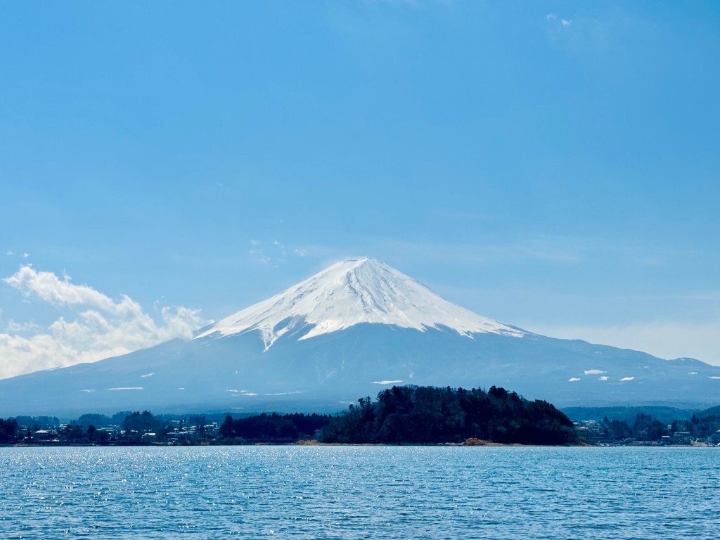 shutterstock_2475792361