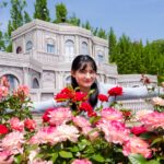 thumb_everland_rose-festival