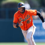 MLB: Spring Training-San Francisco Giants at Chicago White Sox